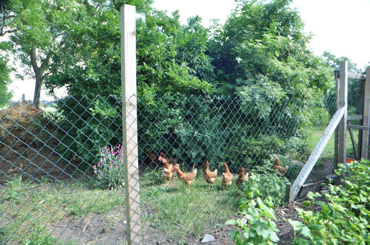 Ferienwohnung Landliebe 65347 Moormerland Luaran gambar